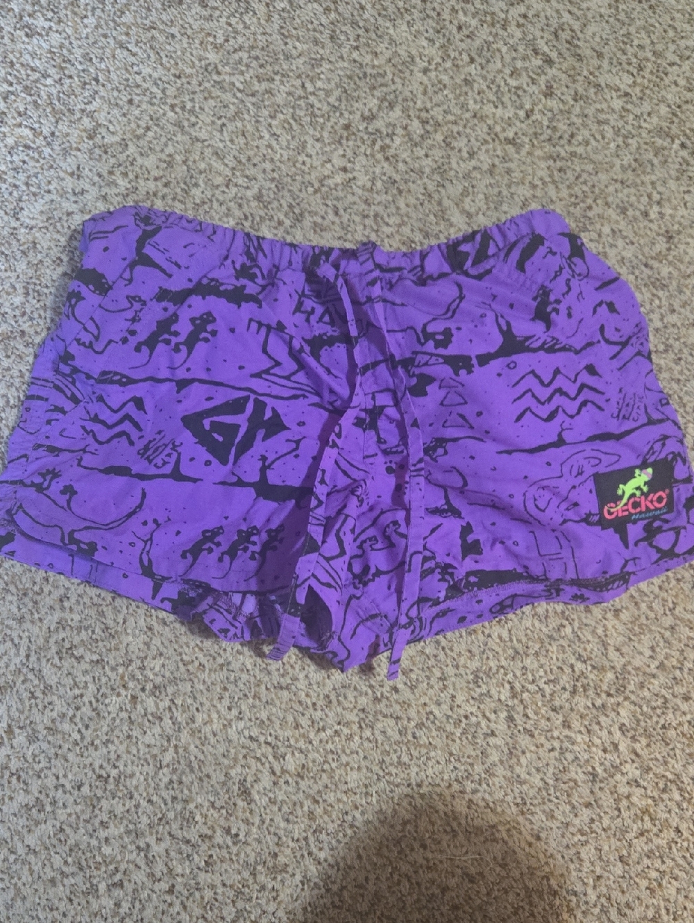 Gecko Sz Small Purple Volley Shorts